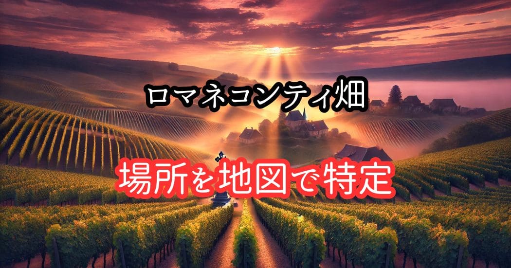 ロマネコンティ畑の場所はどこにある？地図で広さを確認！